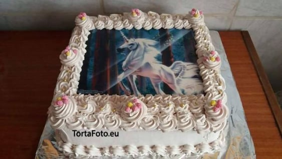 tortafoto.eu